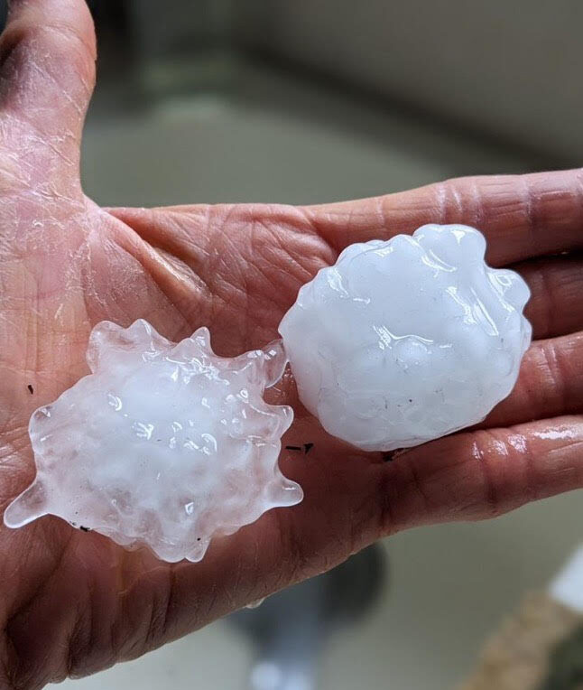 Large hail stones in a person's hand from recent hail storm.